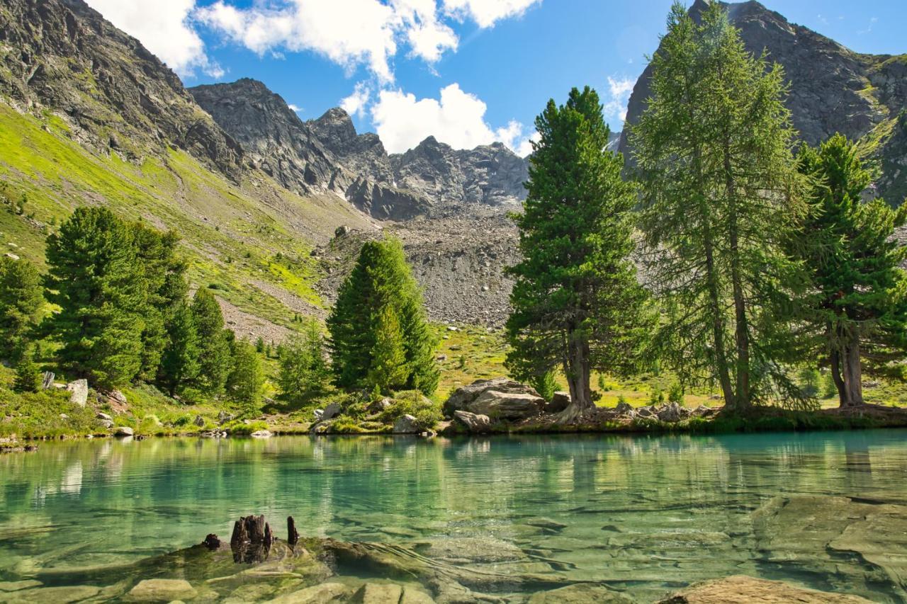 Alpinhotel Monte Superior - Silvretta Card Premium Betrieb Galtuer Luaran gambar